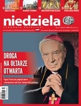 Koń Trojański Islamskiego Terroryzmu