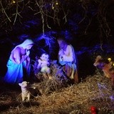 Bożonarodzeniowe szopki w krakowskich kościołach