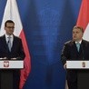 Orban: Polska i Węgry mają swoje wyobrażenia o przyszłości UE i chcą je wyrażać