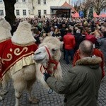 Orszak Trzech Króli w Wołowie