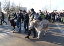Orszak Trzech Króli w Starachowicach