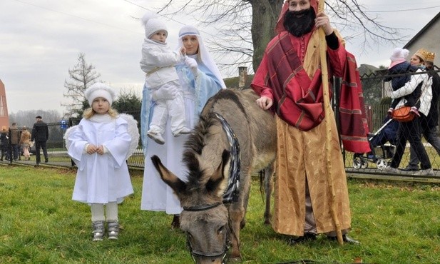 Prosto z Bulowic przywędrował osiołek dla Świętej Rodziny