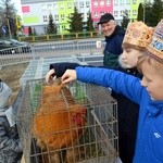 Orszak Trzech Króli w Stąporkowie