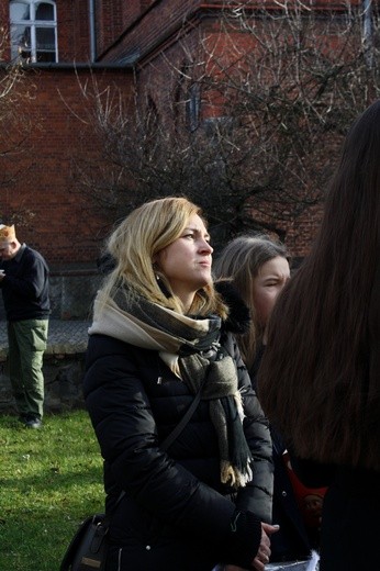 Orszak Trzech Króli w Strzelinie