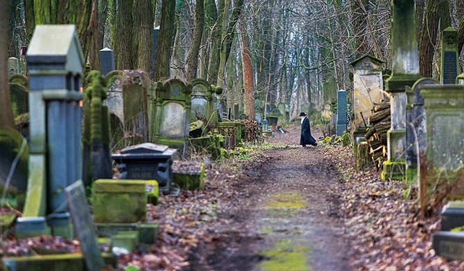 Nad nekropolią górują kilkudziesięcioletnie drzewa. Tworzą niepowtarzalny klimat, ale zagrażają bezpieczeństwu odwiedzających oraz samym nagrobkom.