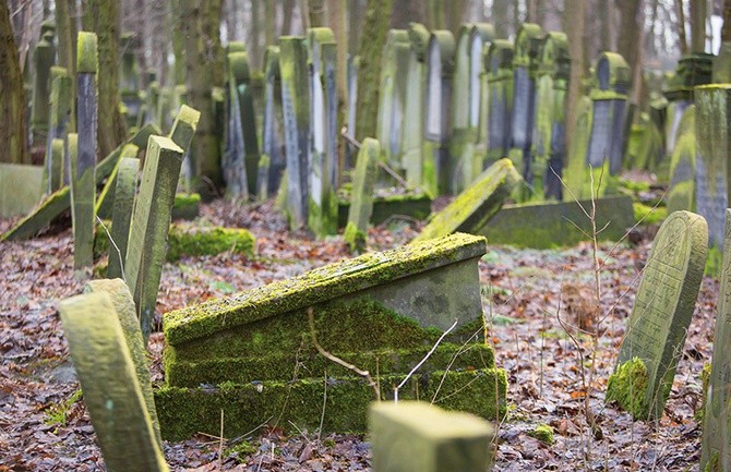 Wykonane z piaskowca macewy w ortodoksyjnej części cmentarza wymagają szybkiej interwencji ekspertów.