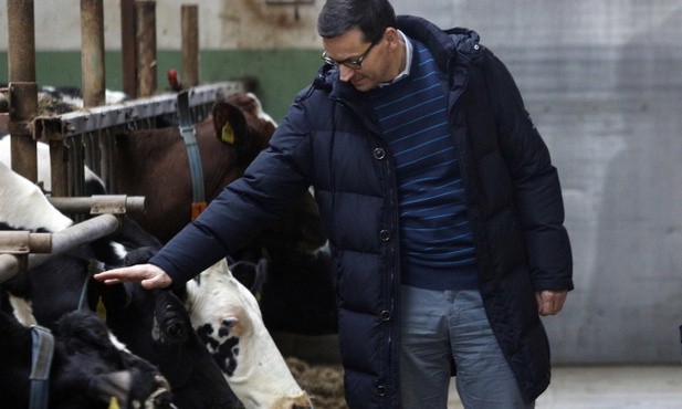 Morawiecki: Polskie produkty rolne powinny być jak najlepiej traktowane w sieciach handlowych