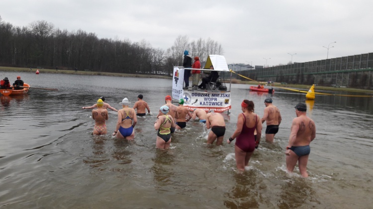 Zimowy Puchar Świata w pływaniu w Katowicach 