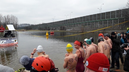 Zimowy Puchar Świata w pływaniu w Katowicach 