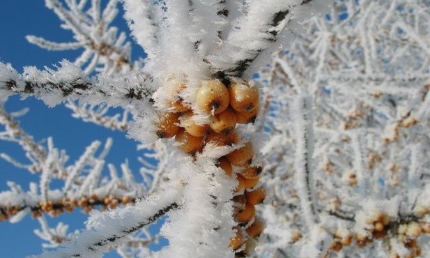 W Jakucji temperatura spadła do minus 67 stopni