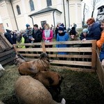 Jasełka w Lisowie koło Radomia