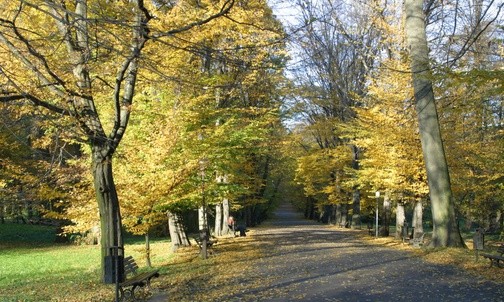 Powstanie geoportal pszczyński 