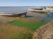 Zostawili swoje łodzie i poszli za Nim