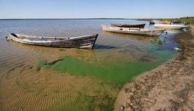 Zostawili swoje łodzie i poszli za Nim