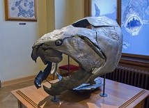 Dunkleosteus 