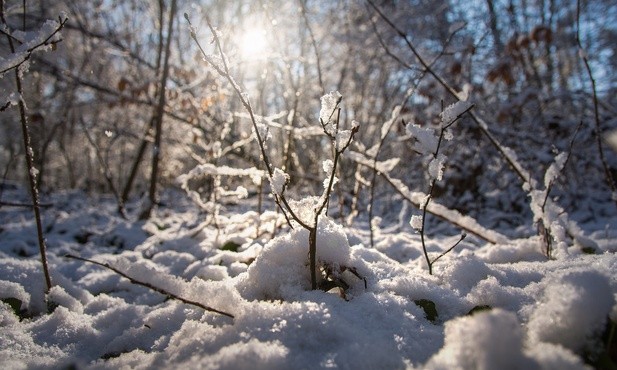 IMGW: Napływa chłodna masa powietrza