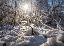 IMGW: Napływa chłodna masa powietrza