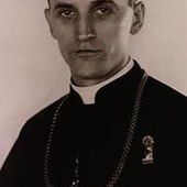 Bł. Alojzy Wiktor Stepinac