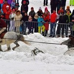 Góralskie wyścigi na śniegu