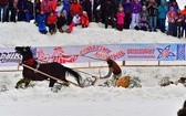 Góralskie wyścigi na śniegu