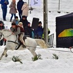 Góralskie wyścigi na śniegu