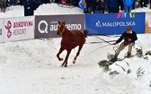 Góralskie wyścigi na śniegu