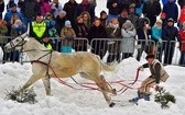 Góralskie wyścigi na śniegu