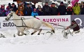 Góralskie wyścigi na śniegu