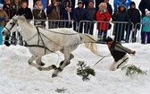 Góralskie wyścigi na śniegu