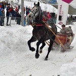 Góralskie wyścigi na śniegu