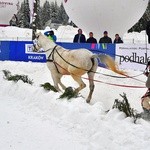 Góralskie wyścigi na śniegu