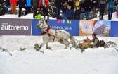 Góralskie wyścigi na śniegu