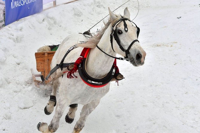 Góralskie wyścigi na śniegu