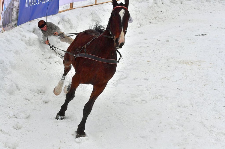 Góralskie wyścigi na śniegu