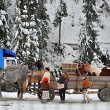 Góralskie wyścigi na śniegu