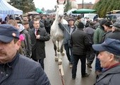 To nie tylko targi końskie, ale wielki jarmark, na który przybywają tysiące ludzi z całej Polski