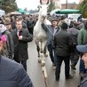 To nie tylko targi końskie, ale wielki jarmark, na który przybywają tysiące ludzi z całej Polski
