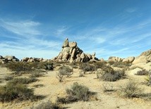 Uciekaj od ludzi, wycisz się wewnętrznie…