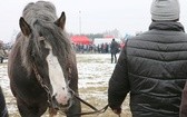 "Wstępy 2018" w Skaryszewie