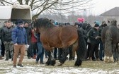 "Wstępy 2018" w Skaryszewie