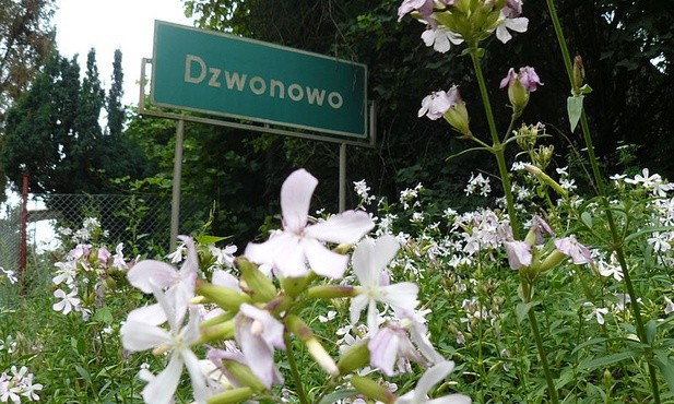 Dzwonowo