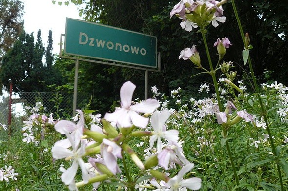 Dzwonowo