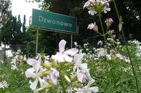 Dzwonowo