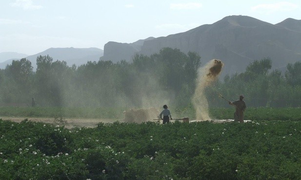 Afganistan też modlił się o pokój