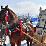 Parada Gazdowska i wyścigi kumoterek