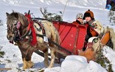 Parada Gazdowska i wyścigi kumoterek