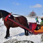 Parada Gazdowska i wyścigi kumoterek