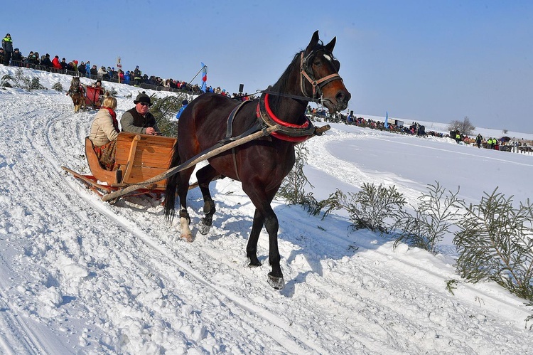 Parada Gazdowska i wyścigi kumoterek