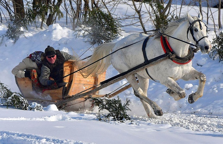 Parada Gazdowska i wyścigi kumoterek