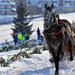 Parada Gazdowska i wyścigi kumoterek